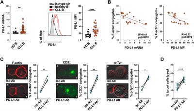 p66Shc deficiency in CLL cells enhances PD-L1 expression and suppresses immune synapse formation